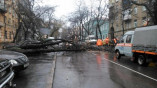 Ураган повалил в Одессе 35 деревьев