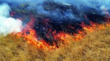 В Одесской области сгорело 2 га степи