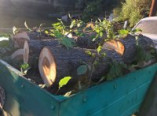 Лесоруб из Беляевского района лишился дров и автомобиля (фото)