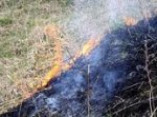 Чрезвычайная пожароопасность объявлена в Одесской области