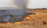 В Беляевском районе ликвидирован крупный пожар