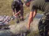 В Одесской области задержаны браконьеры