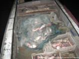 На озере Ялпуг задержаны браконьеры