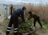 На водоемах Одесской области установлено 1000 нерестовых гнезд