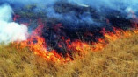 В Николаевском районе пожар уничтожил 15 т сена