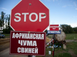 В Одесской и Николаевской областях зафиксированы новые вспышки АЧС