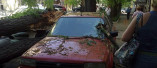 Рухнувшее дерево в Красном переулке повредило автомобили (видео)