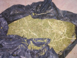 У жителя Болграда изъято 3 кг марихуаны