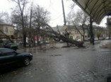 Движение на Новосельского перекрыто из-за упавшего дерева