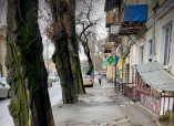 Одесситов просят не оставлять транспортные средства под деревьями по улице Канатной