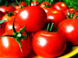 В Одессе прошел красочный праздник «День помидора»