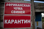 АЧС добралась до Беляевского района Одесской области