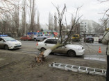 Одесский деревопад (обновляется)