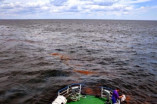 Ущерб от затонувшего судна вблизи Южного составил 3 миллиона грн.