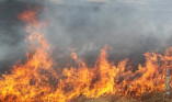 В Савранском районе спасли от огня кукурузное поле