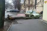 В центре Одессы дерево упало на автомобиль
