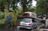 В Одессе ветер повалил 67 деревьев