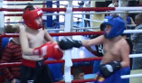 В Одессе состоялся турнир по боксу