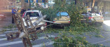 Упавшее дерево на Большой Арнаутской повредило 4 автомобиля