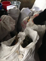 25 кг марихуаны изъято у жителя Белгород-Днестровского района