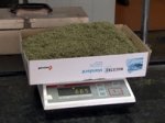 У одессита изъято 20 кг марихуаны У одессита изъято 20 кг марихуаны