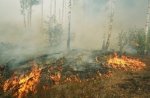 В Одесской области горел лес В Одесской области горел лес