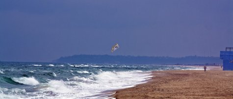 Детский лагерь на побережье Черного моря возвращен государству Детский лагерь на побережье Черного моря возвращен государству