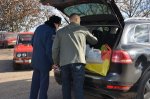 В Савранском районе из-за африканской чумы свиней введен 40-дневный карантин В Савранском районе из-за африканской чумы свиней введен 40-дневный карантин