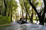 Завтра в Украине стартует запрет на промышленный вылов рыбы Завтра в Украине стартует запрет на промышленный вылов рыбы
