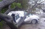 Предупреждение одесским автовладельцам Предупреждение одесским автовладельцам