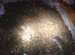 В порту Черноморска пресечена попытка незаконного вывоза янтаря В порту Черноморска пресечена попытка незаконного вывоза янтаря