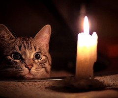 9 февраля в Одессе - плановое отключение электроэнергии 9 февраля в Одессе - плановое отключение электроэнергии