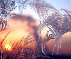 Завтра в Одессе похолодает и усилится северо-восточный ветер Завтра в Одессе похолодает и усилится северо-восточный ветер