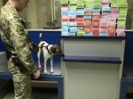 Одесские кальянщики остались без табака (фото) Одесские кальянщики остались без табака (фото)