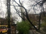 На ул.Мариинской дерево наклонилось и висит на проводах (фото) На ул.Мариинской дерево наклонилось и висит на проводах (фото)