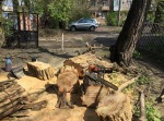В Одессе ликвидируют последствия непогоды (фото) В Одессе ликвидируют последствия непогоды (фото)