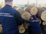 Работники лесохозяйства подозреваются в уничтожении леса Работники лесохозяйства подозреваются в уничтожении леса