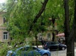 На ул. Конной упавшая ветка перегородила дорогу (фото) На ул. Конной упавшая ветка перегородила дорогу (фото)