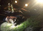 Житель Одесской области организовал канал нелегальной миграции (фото) Житель Одесской области организовал канал нелегальной миграции (фото)