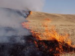 В Одесской области объявлен чрезвычайный уровень пожарной опасности В Одесской области объявлен чрезвычайный уровень пожарной опасности