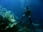 Под Одессой в море утонул дайвер Под Одессой в море утонул дайвер