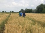 Смертельное знакомство в соцсети Смертельное знакомство в соцсети