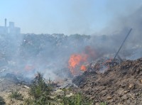 Пожар возле Шкодовой горы тушили более пяти часов (фото, видео) Пожар возле Шкодовой горы тушили более пяти часов (фото, видео)