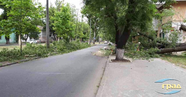 В Одессе упавшее дерево перегородило проспект (фото) В Одессе упавшее дерево перегородило проспект (фото)