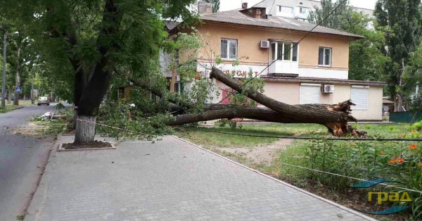 В Одессе упавшее дерево перегородило проспект (фото) В Одессе упавшее дерево перегородило проспект (фото)