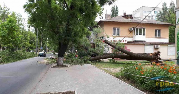 В Одессе упавшее дерево перегородило проспект (фото) В Одессе упавшее дерево перегородило проспект (фото)
