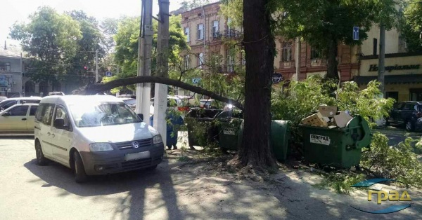 В центре Одессы дерево рухнуло на автомобиль (фото) В центре Одессы дерево рухнуло на автомобиль (фото)