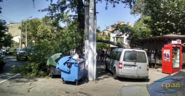 В центре Одессы дерево рухнуло на автомобиль (фото) В центре Одессы дерево рухнуло на автомобиль (фото)