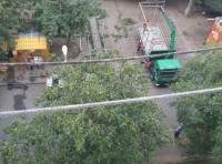 МАФ вместо МАФа: в чем разница? (фото, видео) МАФ вместо МАФа: в чем разница? (фото, видео)