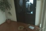 Неизвестные в медине